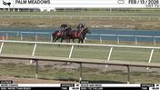 More Carats (Outside) and Rules and Regs Worked 4 Furlongs in 48.95 at Palm Meadows on February 13th, 2026