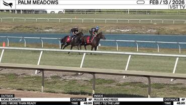 More Carats (Outside) and Rules and Regs Worked 4 Furlongs in 48.95 at Palm Meadows on February 13th, 2026
