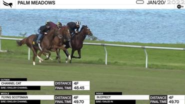 Channel Cat (Outside), Flying Scotsman (Middle), and In Effect (Inside) Worked 4 Furlongs at Palm Meadows on January 20th, 2022