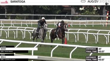 Wand (Outside) and Malu Worked 4 Furlongs in 49.97 at Saratoga on August 21st, 2022