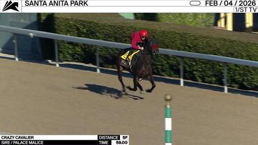 Crazy Cavalier Worked 5 Furlongs in 59.00 at Santa Anita Park on February 4th, 2026