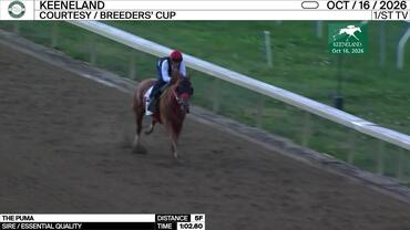 The Puma Worked 5 Furlongs in 1:02.60 at Keeneland on October 17th, 2026