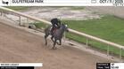 Wicked Legacy Worked 4 Furlongs in 50.49 at Gulfstream Park on October 11th, 2025