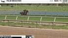Buttercream Babe Worked 3 Furlongs in 38.95 at Palm Meadows on March 11th, 2026