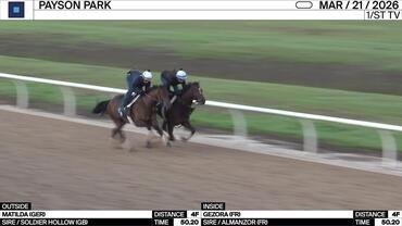 Matilda (Outside) and Gezora Worked 4 Furlongs in 50.20 at Payson Park on March 21st, 2026