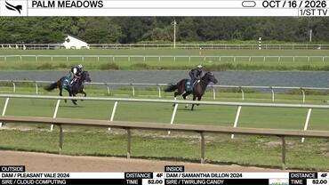 An Unnamed Horse out of the Dam Pleasant Vale (Outside) and an Unnamed Horse out of the Dam Samantha Dillon Worked 4 Furlongs in 52.00 at Palm Meadows on October 16th, 2026