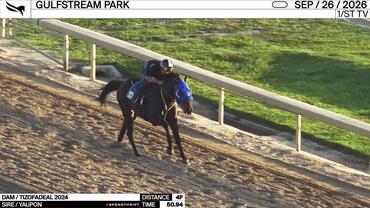 An Unnamed Horse out of the Dam Tizofadeal Worked 4 Furlongs in 50.94 at Gulfstream Park on September 26th, 2026