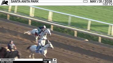 Shocking Grey Worked 4 Furlongs in 50.00 at Santa Anita Park on May 31st, 2026