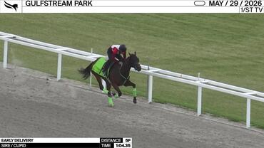 Early Delivery Worked 5 Furlongs in 1:04.35 at Gulfstream Park on May 29th, 2026