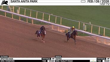Spotted Haze (Outside) and Nafisa Worked at Santa Anita Park on February 9th, 2026