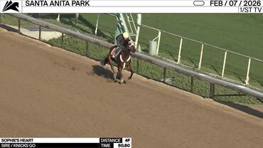 Sophie's Heart Worked 4 Furlongs in 50.80 at Santa Anita Park on February 7th, 2026