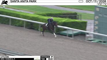 Little Mo Worked 4 Furlongs in 46.80 at Santa Anita Park on October 11th, 2026