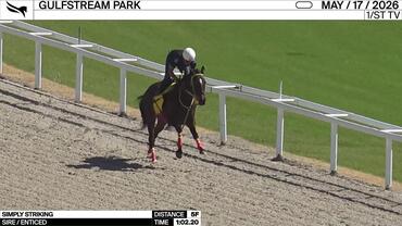 Simply Striking Worked 5 Furlongs in 1:02.20 at Gulfstream Park on May 17th, 2026