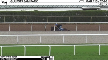 Roar of the Beast (The Big Beast)_Saffie Joseph Jr._GSP_260315