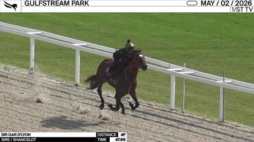 Sir Gar d'Lyon Worked 4 Furlongs in 47.96 at Gulfstream Park on May 2nd, 2026
