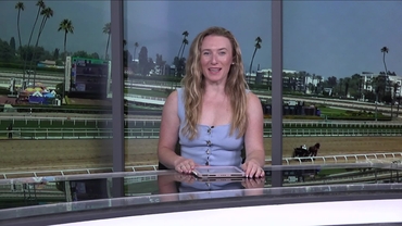Preview of The Possibly Perfect Stakes on June 14th, 2025