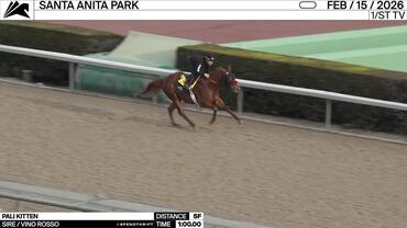 Pali Kitten Worked 5 Furlongs in 1:00.00 at Santa Anita Park on February 1t5h, 2026