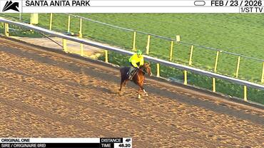 Original One Worked 4 Furlongs in 48.20 at Santa Anita Park on February 23rd, 2026