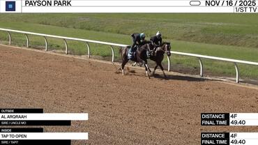 Al Arqraah (Outside) and Tap to Open Worked 4 Furlongs in 49.40 at Payson Park on November 16th, 2025