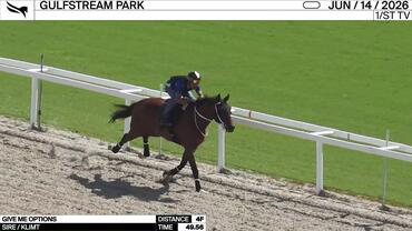 Give Me Options Worked 4 Furlongs in 49.56 at Gulfstream Park on June 14th, 2026
