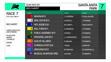 Preview of The Red Carpet Stakes on Nov 23rd, 2025