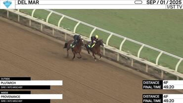 Plutarch (Outside) and Provenance Worked 4 Furlongs in 49.20 at Del Mar on September 1st, 2025