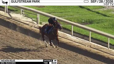 The Dove Rules Worked 3 Furlongs in 36.09 at Gulfstream Park on September 28th, 2026