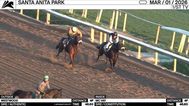Westwood (Outside) and Mc Vay Worked 4 Furlongs in 46.60 at Santa Anita Park on March 1st, 2026