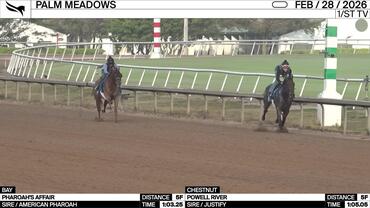 Pharoah's Affair (Bay) and Powell River Worked 5 Furlongs at Palm Meadows on February 28th, 2026