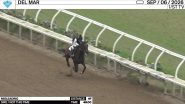 Misleading Worked 4 Furlongs in 49.00 at Del Mar on September 6th, 2026