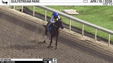 My Miss Mo Worked 4 Furlongs in 48.25 at Gulfstream Park on April 15th, 2026