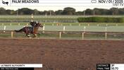 Ultimate Authority Worked 3 Furlongs in 35.70 at Palm Meadows on November 1st, 2025