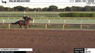 Ultimate Authority Worked 3 Furlongs in 35.70 at Palm Meadows on November 1st, 2025