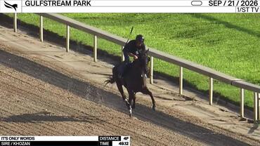 It's Only Words Worked 4 Furlongs in 49.12 at Gulfstream Park on September 21st, 2026