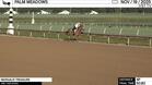 Margaux Treasure Worked 4 Furlongs in 50.80 at Palm Meadows on November 19th, 2025