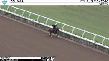 Liberation Worked 5 Furlongs in 1:00.80 at Del Mar on August 16th, 2026