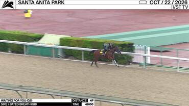 Waiting For You Worked 4 Furlongs in 49.00 at Santa Anita Park on October 22nd, 2026