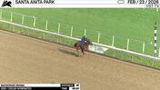 Backstage Drama Worked 4 Furlongs in 49.20 at Santa Anita Park on February 23rd, 2026