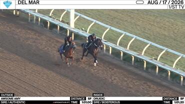Awsome Amy (Outside) and Druidic Worked 5 Furlongs at Del Mar on August 17th, 2026