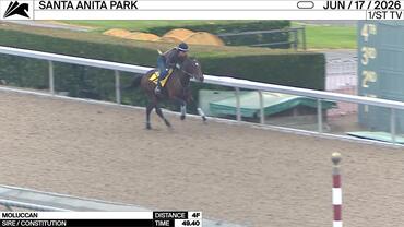 Moluccan Worked 4 Furlongs in 49.40 at Santa Anita Park on June 17th, 2026