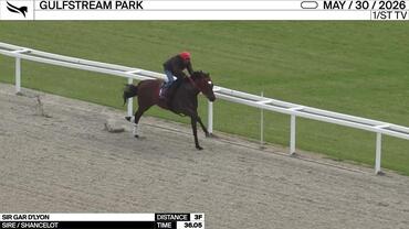Sir Gar d'Lyon Worked 3 Furlongs in 36.05 at Gulfstream Park on May 30th, 2026