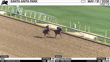 Inca (Outside) and La Cantina Rossa Worked 5 Furlongs at Santa Anita Park on May 31st, 2026, for trainer Ruben Gomez.