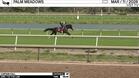 Curtain Call Worked 4 Furlongs in 49.40 at Palm Meadows on March 11th, 2026