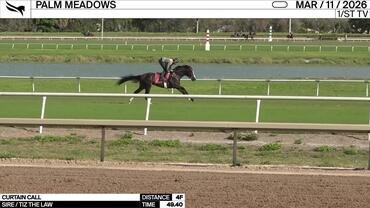 Curtain Call Worked 4 Furlongs in 49.40 at Palm Meadows on March 11th, 2026