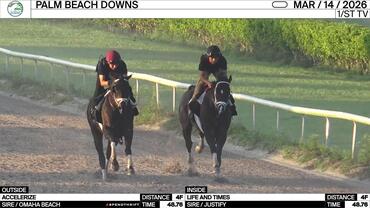 Accelerize (Outside) and Life and Times Worked 4 Furlongs in 48.76 at Palm Beach Downs on March 14th, 2026