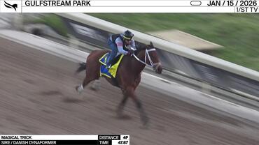 Magical Trick Worked 4 Furlongs in 47.87 at Gulfstream Park on January 15th, 2026
