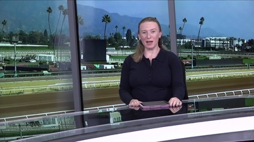 Preview of race 7 on Nov 8th, 2025