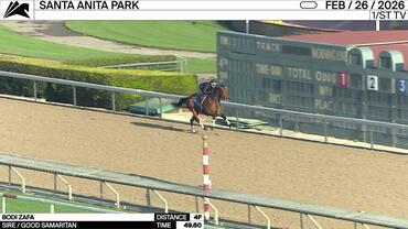 Bodi Zafa Worked 4 Furlongs in 49.60 at Santa Anita Park on February 26th, 2026