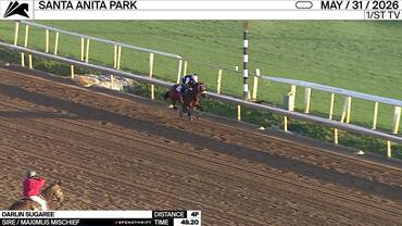 Darlin Sugaree Worked 4 Furlongs in 49.20 at Santa Anita Park on May 31st, 2026
