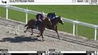 Chestnut (Outside) and Can't Fool Me Worked 4 Furlongs in 49.42 at Gulfstream Park on March 22nd, 2026